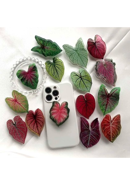 Leaf-03 Soket Katlanır Kavrama Tok Pretty Yaprak Akrilik Telefon Tutucu IPHONE13 Evrensel Telefon Braketi (Yurt Dışından)