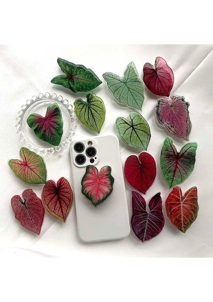 Leaf-07 Soket Katlanır Kavrama Tok Pretty Yaprak Akrilik Telefon Tutucu IPHONE13 Evrensel Telefon Braketi (Yurt Dışından) fiyatları
