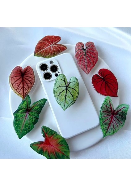 Leaf-07 Soket Katlanır Kavrama Tok Pretty Yaprak Akrilik Telefon Tutucu IPHONE13 Evrensel Telefon Braketi (Yurt Dışından) indirimleri