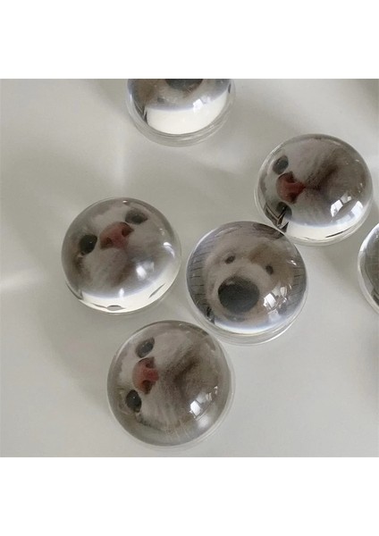04 Kore Ins Aynı Kedi ve Köpek Kristal Kavrama Tok Cep Telefonu Braketi Halka Desteği Konuşma Katlanabilir Elastik Evrensel Braketi (Yurt Dışından)