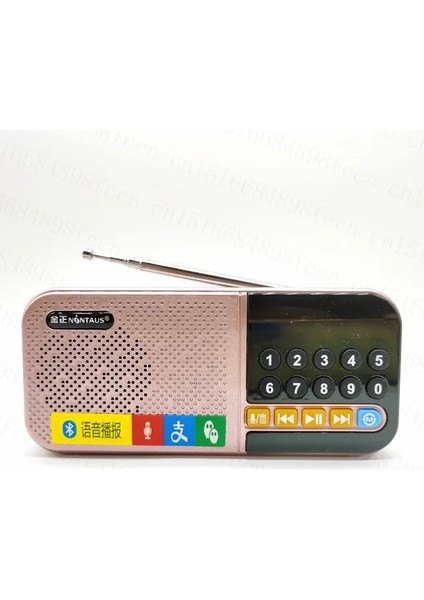 Pembe Bluetooth Uyumlu Hoparlör Fm Radyo Mini Cep Radyosu Mp3 Müzik Çalar Dijital Kaydedici Hoparlör Desteği Tf Kart USB Disk (Yurt Dışından)
