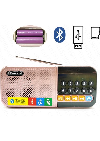 Pembe Bluetooth Uyumlu Hoparlör Fm Radyo Mini Cep Radyosu Mp3 Müzik Çalar Dijital Kaydedici Hoparlör Desteği Tf Kart USB Disk (Yurt Dışından) fiyatları