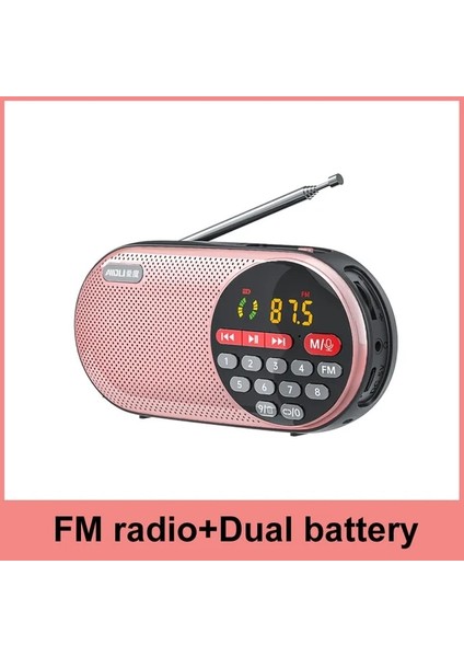 Rosegold Kayıt Yok 4000MAH Şarj Edilebilir Fm Radyo LED Ekranlı Taşınabilir Hoparlör Müzik Çalar Desteği Tf Kart U Disk 3.5mm Kulaklık Jakı (Yurt Dışından)