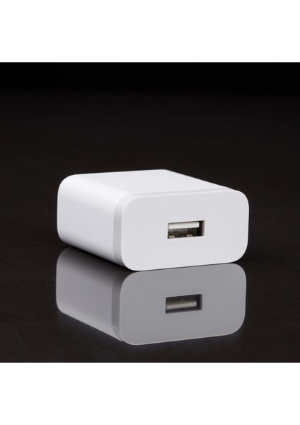 Abd Şarj Cihazı ve Kablo Xıaomı Redmi Not 8 7 K20 Pro Qc3.0 Hızlı Şarj Cihazı 12V/1.5A Adaptör USB Tip-C Kablosu Mi 9 Pro 9t 8 A2 A1 5 6 F1 Max 3 Mix 2s (Yurt Dışından) indirimleri