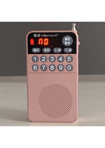 Rosegold Cep Fm Radyo Taşınabilir Stereo Müzik Çalar Mini Kaydedici U Disk/tf Kart/kulaklık Solt Desteği Otomatik Kanal Arama (Yurt Dışından)