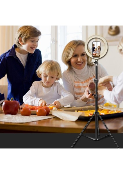 1.6 M Işık Standı Işık Standı Fotoğrafçılık Taşınabilir Tripod Softbox Için 1/4 Vida ile LED Halka Işık Telefon Kamera Lazer Seviye Projektör (Yurt Dışından) indirimleri