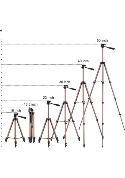 Telefon Için Altın Tripod WT3130 Tripod Dslr Kamera Için Kamera Tutucu Için Dijital Dv Kamera Alüminyum Cep Telefonu Standı 1.3m 130CM Yüksek (Yurt Dışından) fırsatları