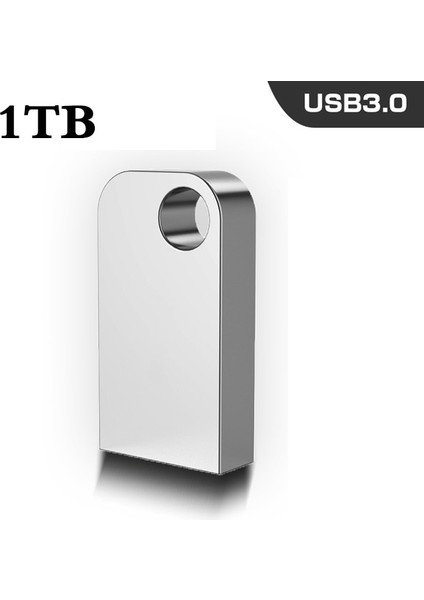 Gümüş 1 Tb Mini Kalem Sürücü 2 Tb Memoria USB Flash Sürücüler 1 Tb Metal Tip C Otg Yüksek Hızlı Usb3.0 Su Geçirmez Pendrive 512 GB Çubuk Adaptörü (Yurt Dışından)