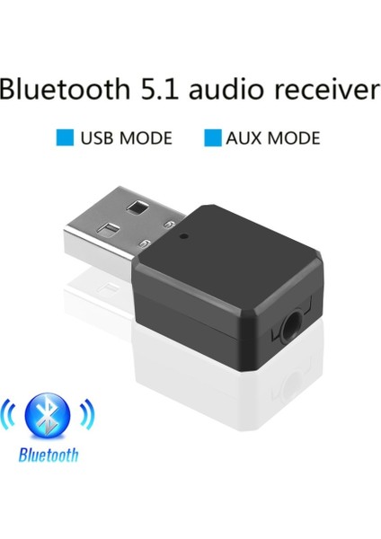 Bluetooth V5.1 Bluetooth 5.1 Ses Alıcısı Aux USB Çift Çıkışlı Dongle Adaptörü Stereo Eller Serbest Çağrı Araba Pc Hoparlör Için Müzik Ses Alıcısı (Yurt Dışından) indirimleri
