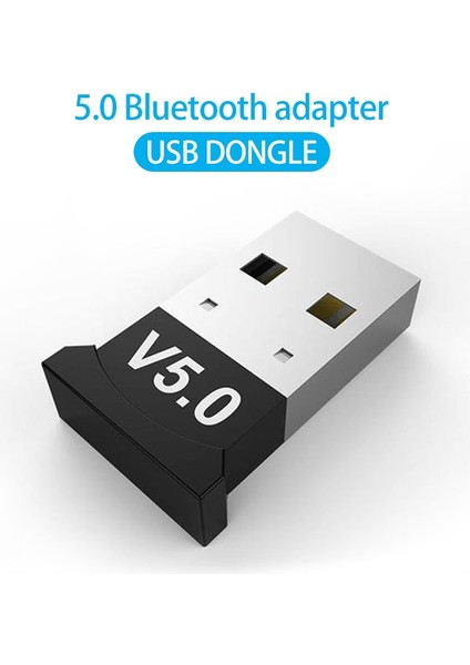1 Adet 5/3/2/1 Adet Bluetooth V5.0 USB Dongle Adaptörü Bilgisayar Masaüstü Için Wın 10 Bilgisayar Pc Dizüstü Kulaklık Kulaklık Hıfı Ses Adaptörü (Yurt Dışından)