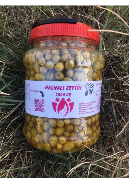 Payas Kadın Kooperatifi Halhalı Zeytin