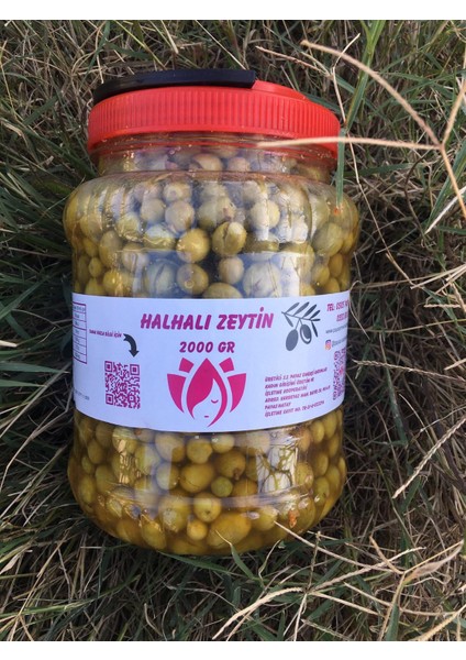 Payas Kadın Kooperatifi Halhalı Zeytin