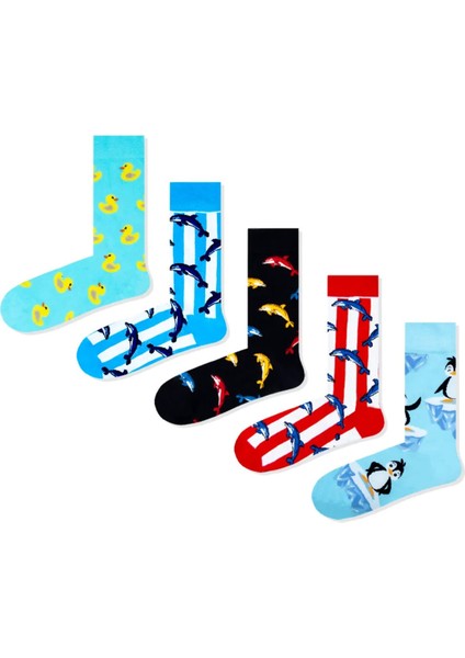 5'li Dolphin Renkli Çorap Set