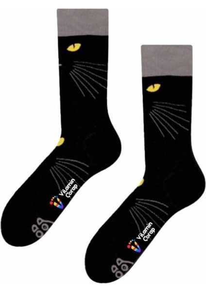 Kedi Bıyık Renkli Çorap