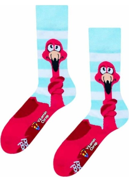 Flamingo Cartoon Renkli Çorap