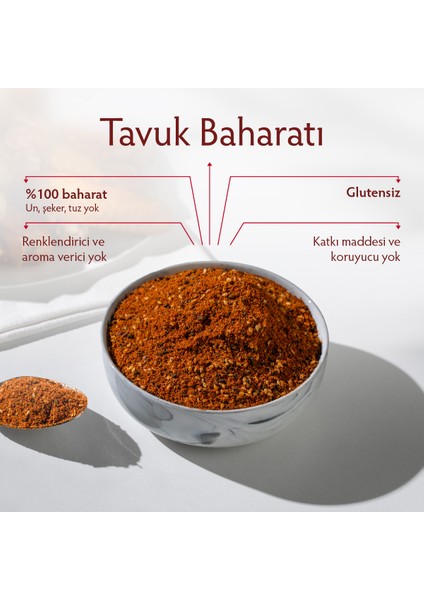 Tavuk Baharatı Karışım Sosu 100 gr