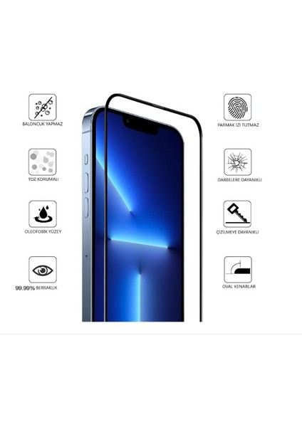 iPhone 12 Pro Max Anti-Static Ekran Koruyucu