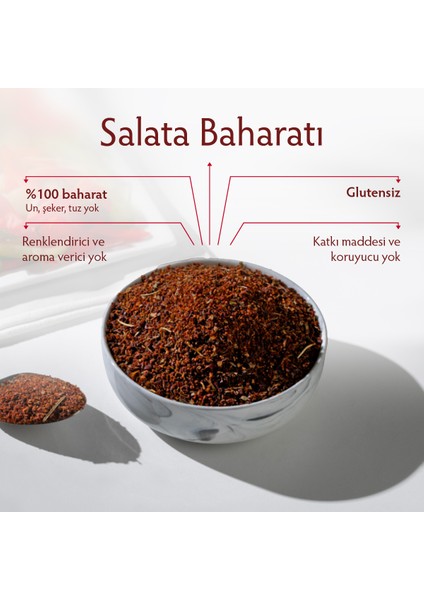 Salata Baharatı 100 gr