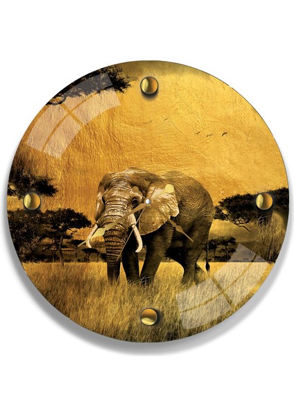 Gold Fil Cam Saat - 60 cm fiyatları