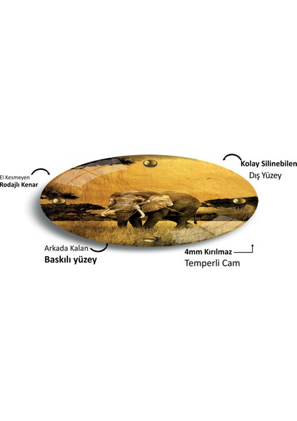 Gold Fil Cam Saat - 60 cm fırsatları