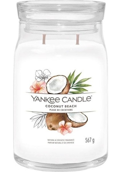 Yankee Candle 1629967E Büyük Mum Coconut Beach