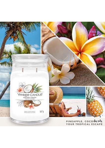 Yankee Candle 1629967E Büyük Mum Coconut Beach