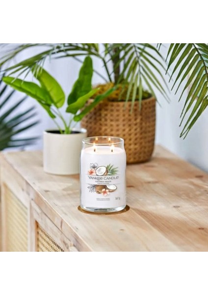 Yankee Candle 1629967E Büyük Mum Coconut Beach