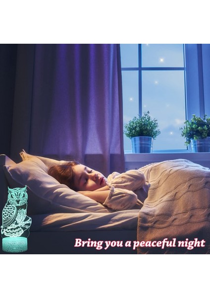 3D Baykuş Gece Aydınlatması, 24 Tuşlu Uzaktan Kumandalı LED Illüzyon Başucu Lambaları 16 Renk ve 4 Flaş Modu Değiştirilebilir Çocuklar Erkekler Kızlar Için En Iyi Hediye Seçenekleri (Yurt Dışından) modelleri