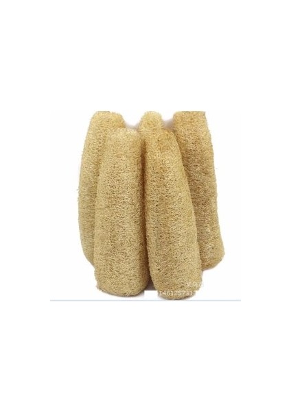 150 Adet Tohum Lif Kabak Tohumu Kabak Tohumu Lif Kabağı Köy Kabak