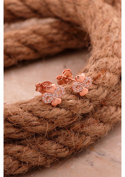 Kalp Sonsuzluk Mini Rose Gümüş Küpe 6826