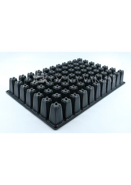77 Göz Kare Fidelik Fide Viyolü Fide Kabı (75 Adet)