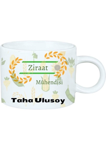 Ziraat Mühendislerine Özel Motto Kahve Fincanı fiyatları