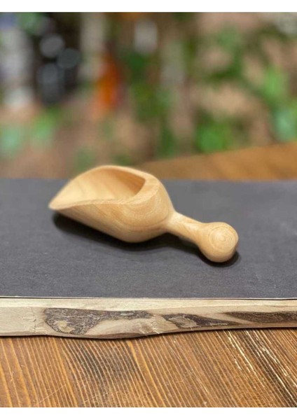 B Zeytin Sasula 14 cm