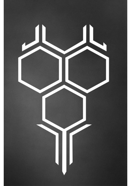 Petek Tasarım Oto Kaput Sticker Siyah/beyaz 58*35 cm