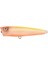 Ikiru Pop 65 Fl N Chart Back Maket Yem 1/1 1