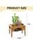 Simülasyon Saksı BITKISI-60132 (Yurt Dışından) 3