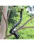 S Modeli Gopro Sjcam Kameralar Için Kelepçeli Esnek Deveboynu Monopod Iphone Xiaomi Huawei Samsung Telefonlar Için Selfie Çubuk Montaj Tutucu (Yurt Dışından) 4
