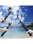 Siyah Tripod Seti Tripod Braketi Cep Telefonu Tutucu Cep Telefonu Kamera Selfie Standı Monopod Kamera Montaj Desteği iPhone Için Fotoğraf Uzaktan Kumanda (Yurt Dışından) 5