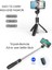 Siyah Işık ile Fangtuosı 2022 Yeni Kablosuz Bluetooth Selfie Çubuğu Selfie'nin Halka Işık Fotoğrafçılığı Canlı Video Akışı Için Lambanın LED Jantı (Yurt Dışından) 3