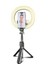 Beyaz W Tek Işık Bluetooth Dolgu Işığı Selfie Çubuğu 7.3 Inç Kısılabilir LED Halka Işık Tripod Standı, Tripod Telefon Tutucu ile Makyaj Için Çıkarılabilir (Yurt Dışından) 3