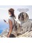 Y9 Siyah 3 In 1 Selfie Sopa Tripod ile Kablosuz Bluetooth Cep Telefonu Tutucu IPhone Huawei Samsung Selfie Çubukları El Gimbal (Yurt Dışından) 4