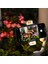 Beyaz Dolgu Işığı Telefon Kelepçesi Djı Om 5/6/se Ayarlanabilir Parlaklık Renk Sıcaklığı Osmo Mobile 6 Gimbal Işık Kelepçesi Aksesuarları (Yurt Dışından) 5