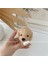 Haki Köpek Kore 3D Kawaii Tüylü Ayı Telefon Tutucu Grip Tok Peluş Oyuncak Köpek Braketi iPhone 11 12 13 Pro Sevimli Akıllı Telefon Tutucu Griptok (Yurt Dışından) 1