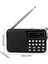 Mavi T-508 Müzik Çalar Taşınabilir Fm Radyo Cep Boyutunda Geri Çekilebilir Anten Dahili 3 W Hoparlör Yaşlı Çocuklar Için Hediye (Yurt Dışından) 3