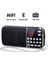 Mavi Prunus J-189 Radyo Taşınabilir Am Fm Radyo El Cep Hıfı Stereo Hoparlör Hava Durumu Bluetooth Dijital Radyolar Şarj Edilebilir USB (Yurt Dışından) 4