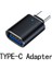 Yalnızca1 Adet Tip-C Mini Yüksek Kapasiteli Kalem Sürücü 2 Tb Yüksek Hızlı Taşınabilir Memoria USB Flash Sürücüler 3.0 Pendrive 1 Tb Tip-C USB Bellek Metal USB Stick (Yurt Dışından) 1