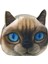 Amart-D Kedi Köpek Pet Yüz Kadın Para Cüzdan Çanta Mini Çanta Çocuklar Bozuk Para Cüzdanı Kese Kadın Cüzdan Para Çanta (Yurt Dışından) 1