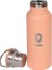 Paslanmaz Çelik Peach Fuzz Metal Suluk 500 ml No:53 3