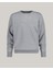 Erkek Gri Regular Fit Bisiklet Yaka Logolu Sweatshirt 2007074.93 1