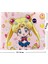 Sıcak Satış Japon Anime Karikatür Sailor Crystal Cüzdan Kısa Çanta Kart Tutucu Para Cebi (Yurt Dışından) 3